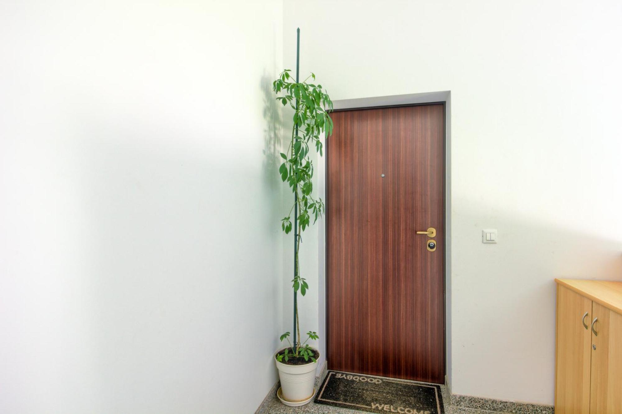 Apartments Zara Exterior foto